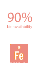 90% bio-availability with Fe marker
